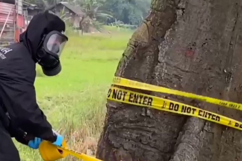 Kemensos sediakan bantuan sosial bagi warga terdampak radiasi CS 137 – ANTARA News