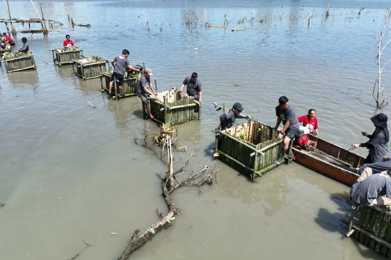 PLN Indonesia Power perkuat ketahanan ekologis lewat Green Action 2025