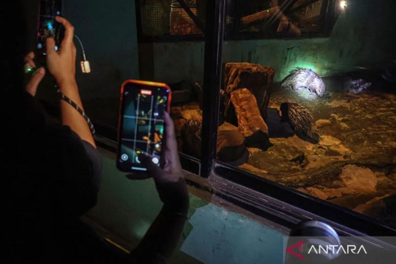 “Ragunan Night” kembali diuji coba pada malam ini