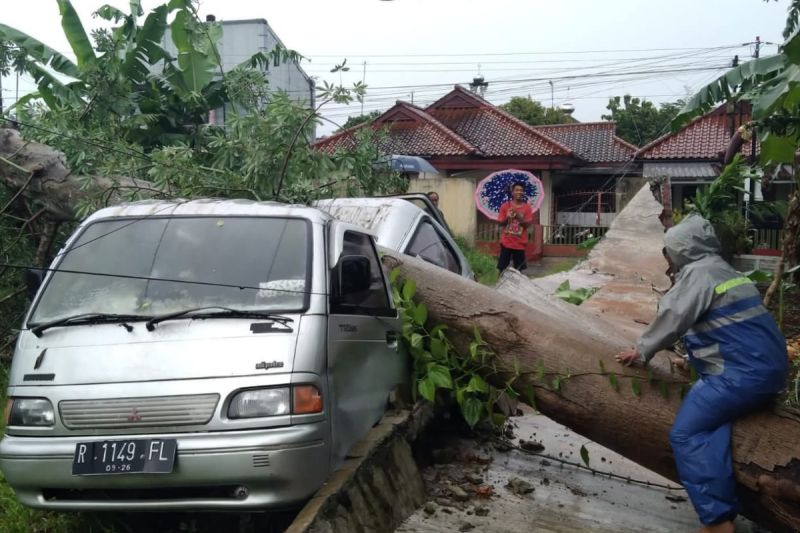 Cuaca ekstrem, sejumlah pohon tumbang dan rumah rusak di Purbalingga