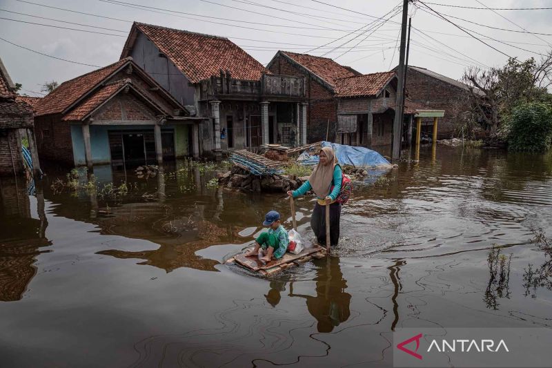 Tujuh dusun di Sayung Demak terendam banjir