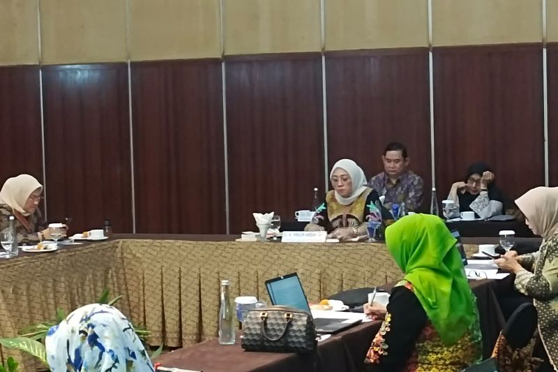 Badan Pengkajian MPR bahas strategi perkuat otonomi daerah