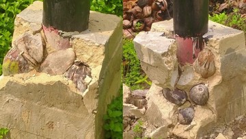 Viral Pondasi Tiang Listrik di Sambas Retak, Isinya Ada Kelapa dan Serabut