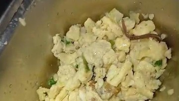 Heboh Temuan Cacing Tanah pada Sajian MBG di SMAN 6 Medan