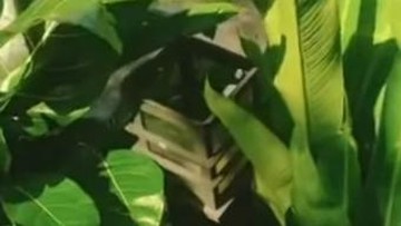 Viral Sejumlah Lampu Taman di Cibinong Bogor Hilang Diduga Dicuri