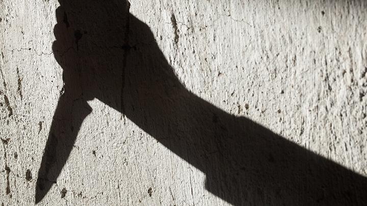 KPAI Bakal Turunkan Tim dalam Kasus Anak 12 Tahun Diduga Tusuk Ibunya di Medan