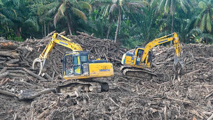 Pemerintah Akan Tertibkan Izin Hutan hingga Pertambangan