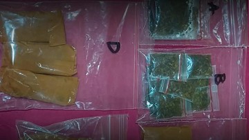 2 Pengedar Narkoba Ditangkap di Jakbar, 40,23 Gram Tembakau Gorilla Disita