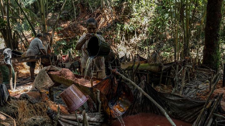 AMAN Catat 135 Kasus Perampasan Wilayah Adat Sepanjang 2025