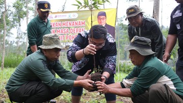 Anggota DPR Kawendra Bareng Perhutani Tanam 888 Bibit Pohon di Lumajang