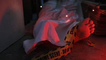 Dosen USU Tewas Ditusuk Anak Sendiri, Pelaku Kesal Ibunya Dianiya