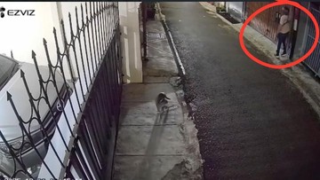 Polda Metro Usut Laporan Teror Bangkai Ayam-Molotov ke Rumah DJ Donny