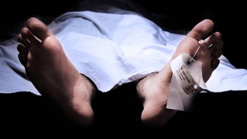 Hendak Ambil Daun Salam, Pemuda di Bogor Tewas Tersengat Listrik