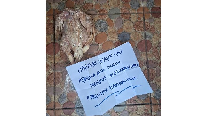 greenpeace-bakal-laporkan-teror-yang-dialami-iqbal-ke-polisi