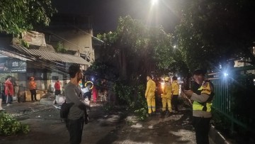 Polsek Palmerah Tangani Pohon Tumbang di KS Tubun Usai Terima Aduan Warga