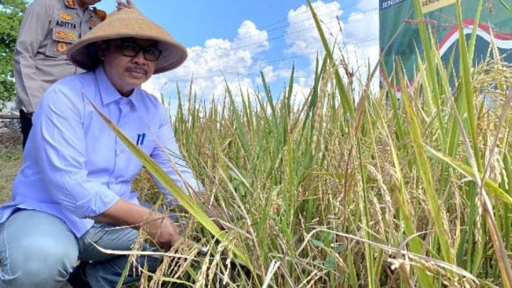 Wali Kota Yogya: Pilkada lewat DPRD Hanya Lahirkan Tirani