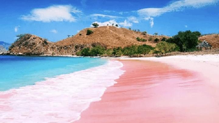 Jelajahi Pulau Komodo dengan Ragam Paket dari Phinisea