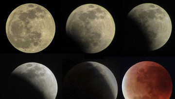 Simak Jadwal Fenomena Gerhana 2026, Bisakah Dilihat di Indonesia?