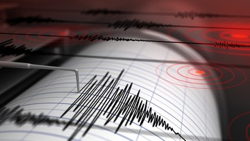 Gempa M 4,8 Guncang Bitung Sulut