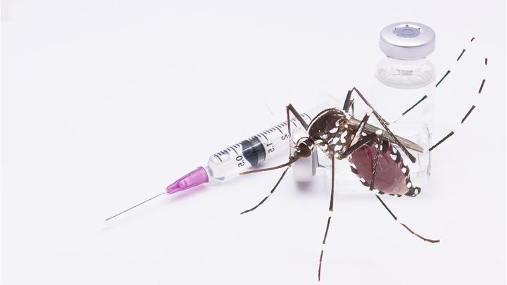 palembang-jadi-kota-uji-coba-vaksin-dbd