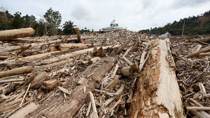 Menhut Beberkan Syarat Pemanfaatan Kayu Pascabanjir Sumatera