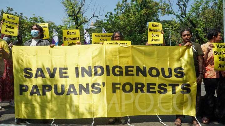 Senator Ini Tolak Sawit dan Pembangunan Batalion di Papua