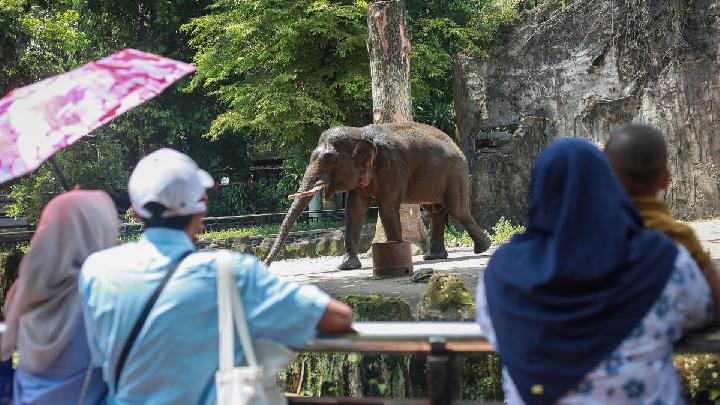 Libur Isra Miraj, Pengunjung Ragunan Capai 7.587 Orang