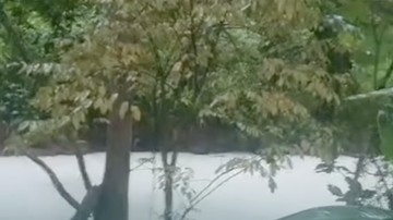 Kebakaran Pabrik Pestisida di Tangsel Sulap Air Sungai Jadi Putih, Ikan Mati