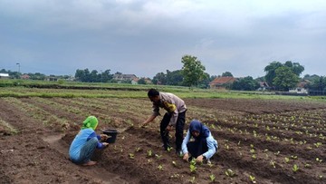 Aiptu Suwendi Sosok di Balik Kemandirian Pangan Warga Desa Megu Gede Cirebon