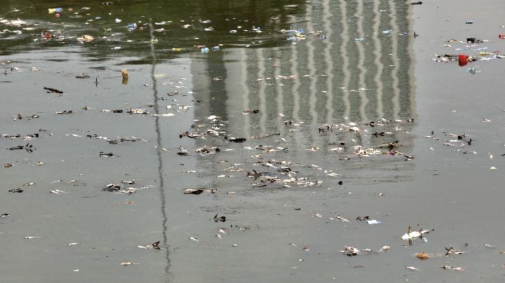 Pencemaran Cisadane Meluas, KLH Lakukan Pemeriksaan