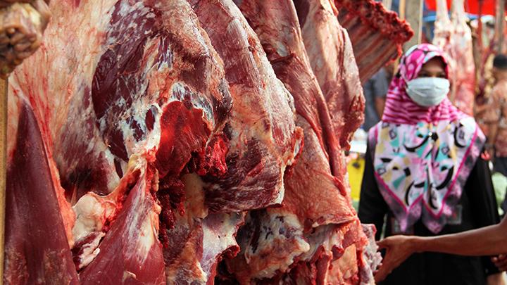 prabowo-kucurkan-rp-72-miliar-untuk-sapi-meugang-di-aceh