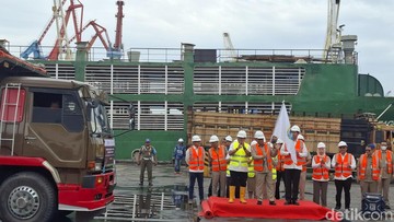 Pemprov Jakarta Impor Sapi dari Australia, Tahap Awal 3.100 Ekor