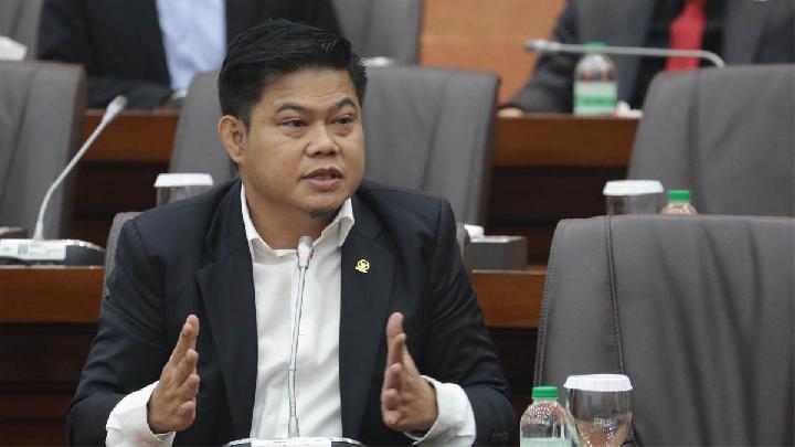 El Mencho Tewas, Anggota DPR: WNI di Meksiko Harus Aman