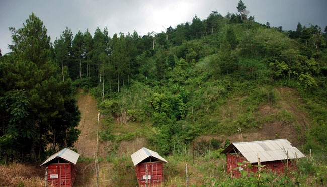 Dana Desa DIY Anjlok, Anggota DPRD Sebut Penebangan