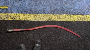 Polda Metro Hentikan Balap Lari Liar di Ciputat Tangsel, Sita Sebilah Celurit