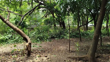 Pengamanan Taman Kota Cawang Diperketat Usai Diduga Jadi Sarang Asusila