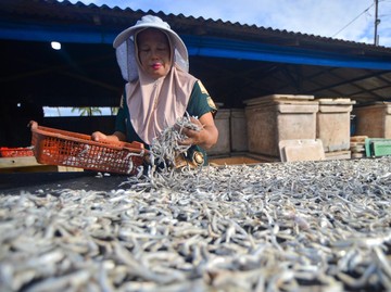 BPOM Temukan Teri dan Mie Mengandung Formalin di Pasar Serang