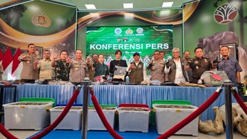 Terungkap Jejak Gading Gajah Tesso Nilo hingga Dikirim ke Solo