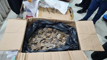 Terbongkar Penyelundupan Sisik Trenggiling Ratusan Miliar