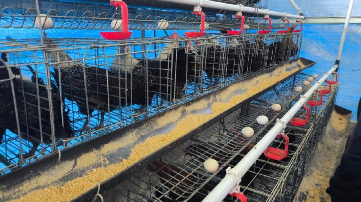 Dompet Dhuafa Ajak Jurnalis Meninjau Program Pemberdayaan Zakat di Bogor