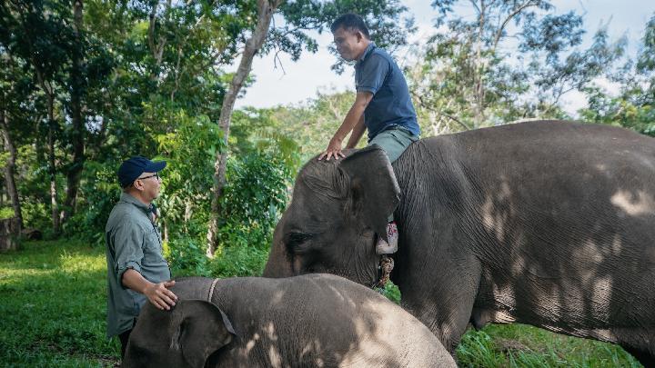 Gubernur Lampung Apresiasi Presiden Prabowo Siapkan Dana Bantuan untuk TN Way Kambas