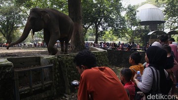 Taman Margasatwa Ragunan Akan Buka H+1 Libur Lebaran Pukul 06.00-16.00
