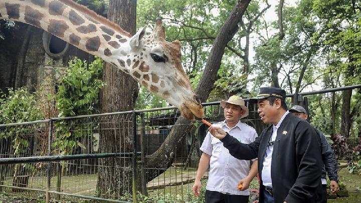 Jadi Tempat Wisata Favorit, DPRD DKI Minta Harga Tiket Taman Margasatwa Ragunan Tidak Naik