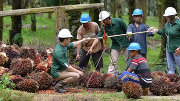 Astra Agro Lestari Siapkan Empat Pilar Dukung  Pembangunan Berkelanjutan
