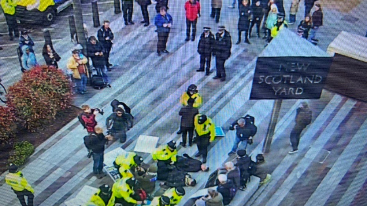 Pendukung Aksi Palestina ditangkap saat Polisi Met London menjanjikan kebijakan