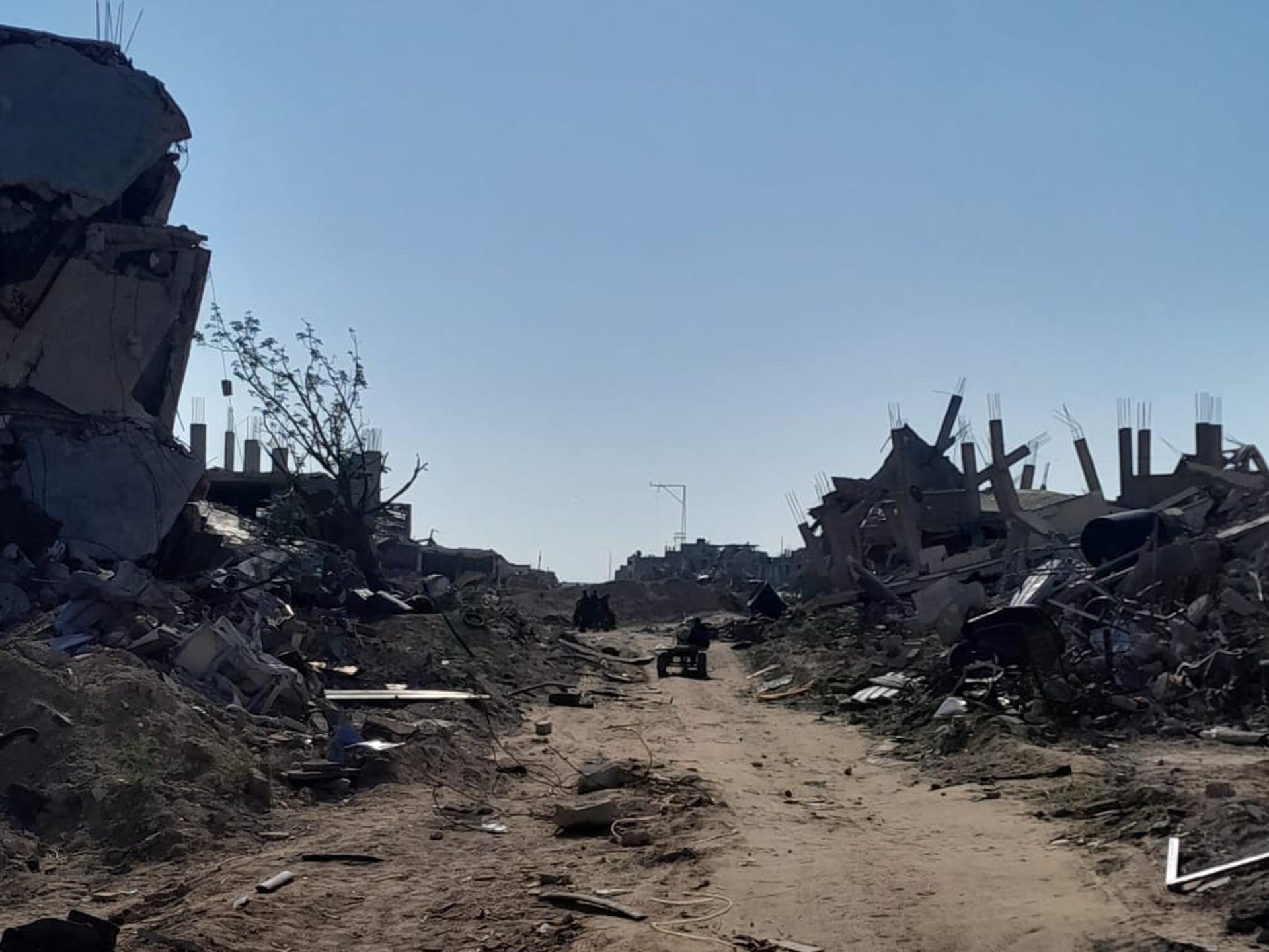 Hijau dan Kuning: Dua garis yang memisahkan saya dari tanah saya