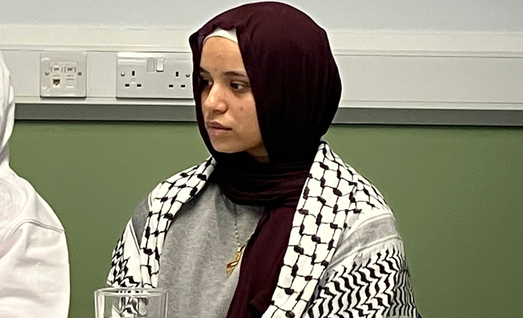 Aktivis Inggris pro-Palestina ditangkap beberapa minggu setelah dibebaskan dengan jaminan