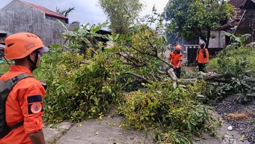 Ngerinya Angin Puting Beliung di Kudus Rusak 221 Rumah Warga