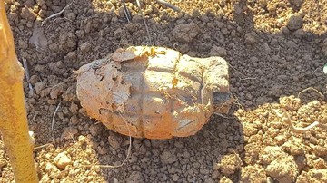 Warga Palopo Temukan Granat Nanas Saat Bersih-bersih Kuburan