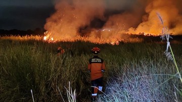 Potensi Karhutla 2026 Mulai Bulan Juni, Ini Langkah Mitigasi BMKG